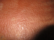 IMG-3117.jpg