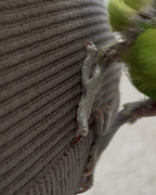 IMG-0567