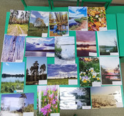 IMG_20250930_171811_edit_161913834241959