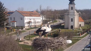 Kép