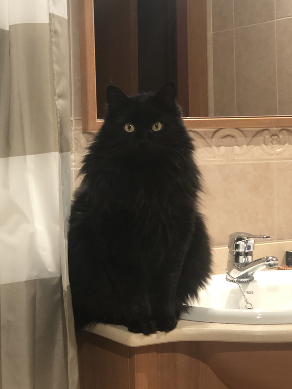 6EC50C3A-AB12-4BCF-85B2-46C8C2B0457C