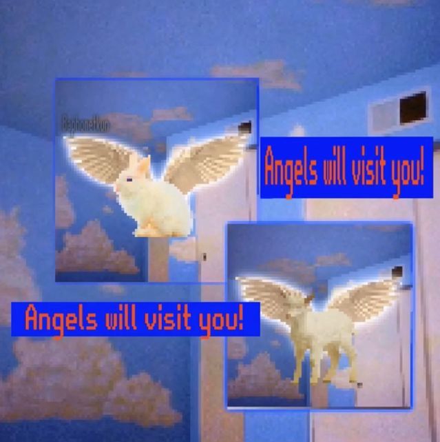 angels will visit you