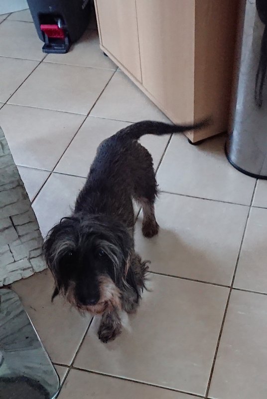 [Image: 20240122-132157.jpg]