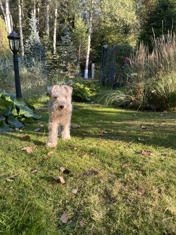IMG 4812 — Postimages