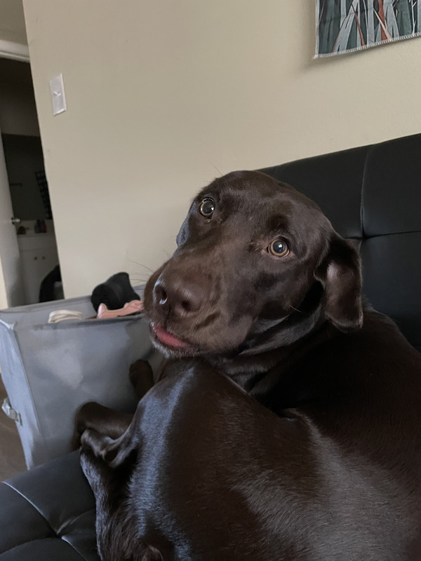 3DD3CB60-9D32-49B0-ACCC-22C56B220952