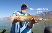 [Image: SKIPPER-S-25.jpg]