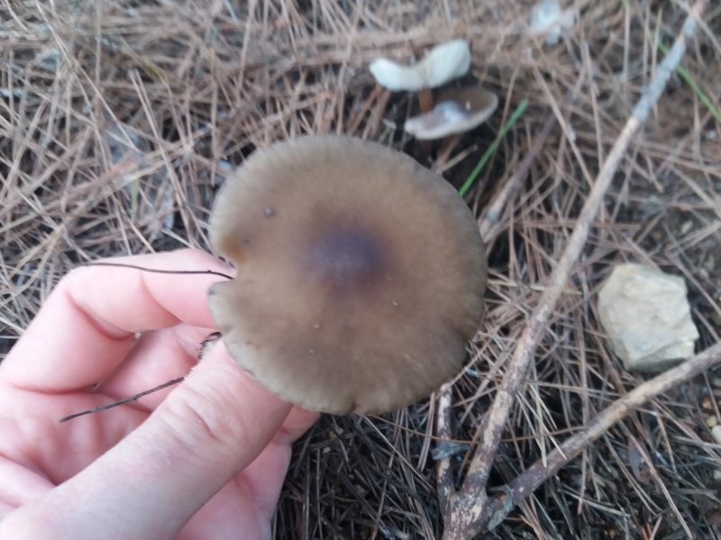 3D069E17-5693-489B-923A-D6190D0313C0