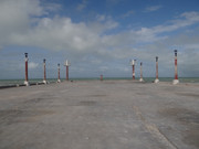DSC00479