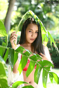 Nicha-Set-23-0005