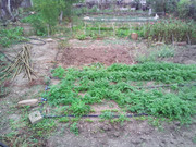 IMG-20201008-085510.jpg
