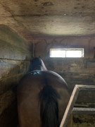 02A054FF-B101-4217-B298-39E77F4015B8