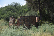 DSC-0029
