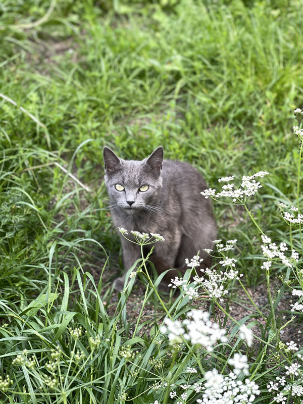 EE4075A5-0FE5-4495-8396-E2DCEE112B8B