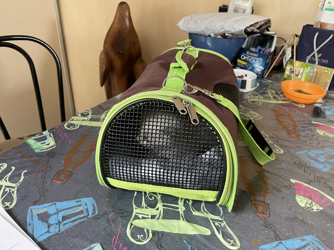 1A74AB73-C0B9-4D96-9734-25CB2B77B796