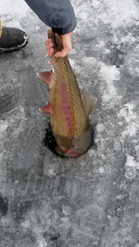 20181208_144420