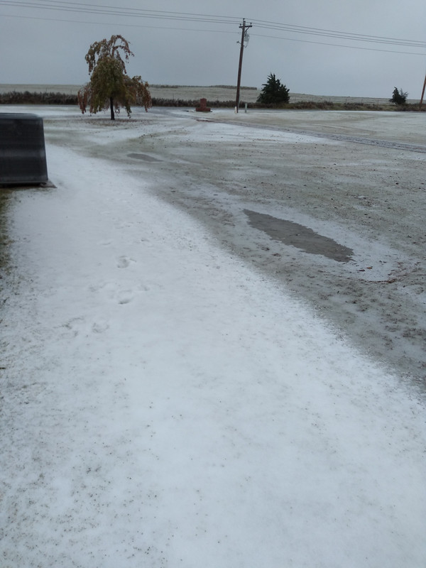 IMG_20201026_170057723