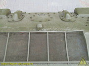 IMG-7558