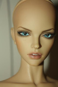 IMG-8008