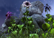 Dan-Whiteside-The-Three-Sisters