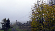 S9960013