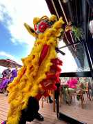 Lion Dance_17