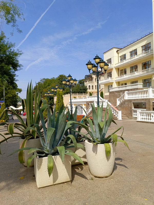 IMG_20240824_103354_913