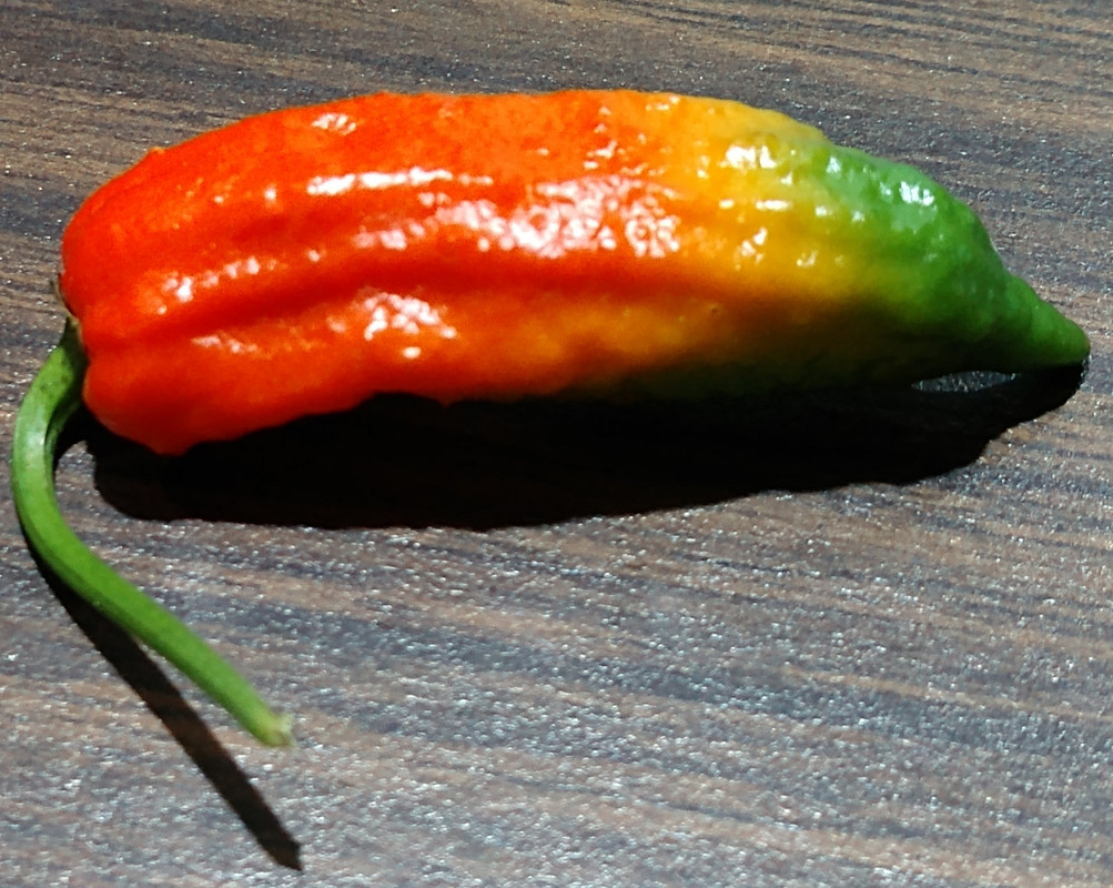 peppcolor2