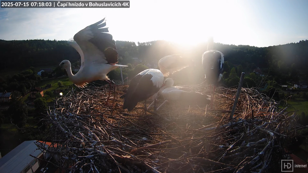 Tiešraide no KARA uzņēmuma stārķu skursteņa Bohuslavicē netālu no Trutnovas 13-0-25 screenshot