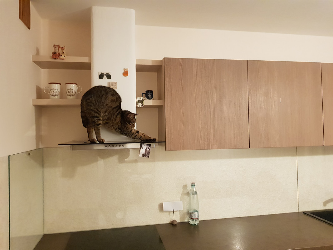 20190305-204351.jpg
