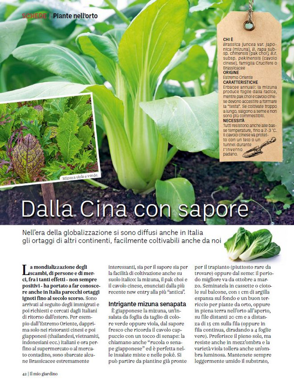 il mio Giar Feb-Mar 2024 (3)