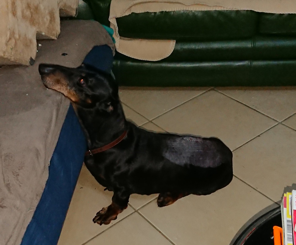 [Image: 20221130-011450.jpg]