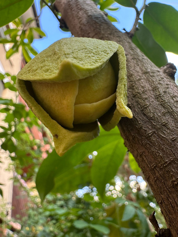 Obrázek WhatsApp, 2024-08-17 v 21.33.15_cbe45c5b