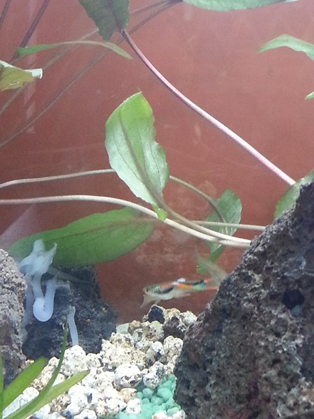 20130918_193640 (Copia)