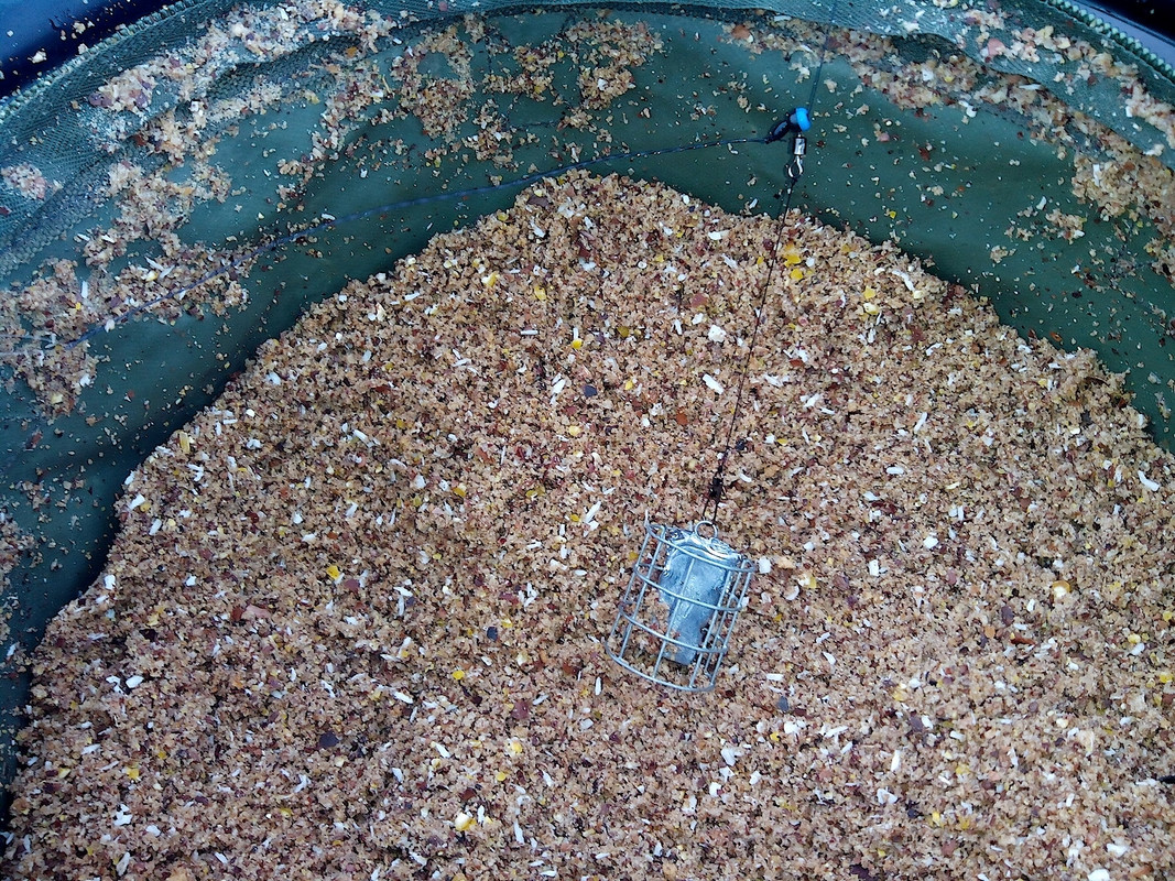 Добрянка 13.01.15-1