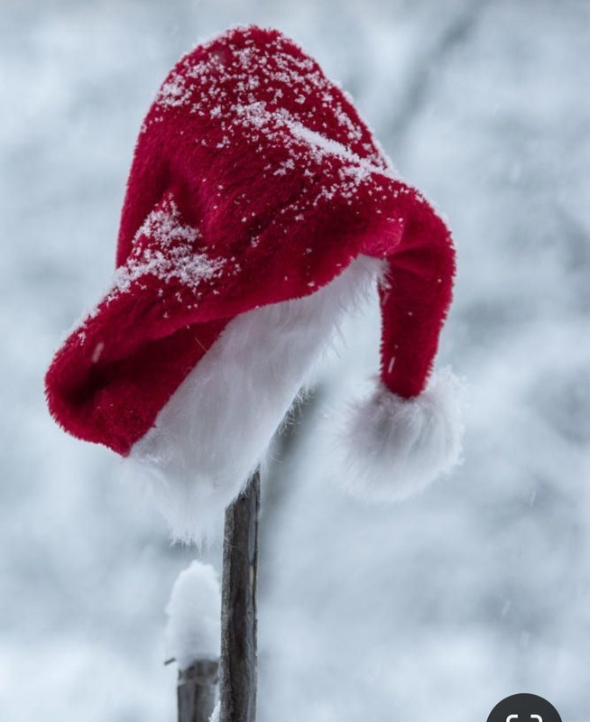 Screenshot_20231124_215003_Pinterest