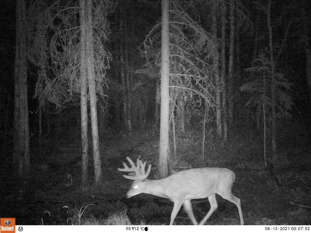 D9E36967-66CE-4D2F-9ACD-B41EC2A8E20C