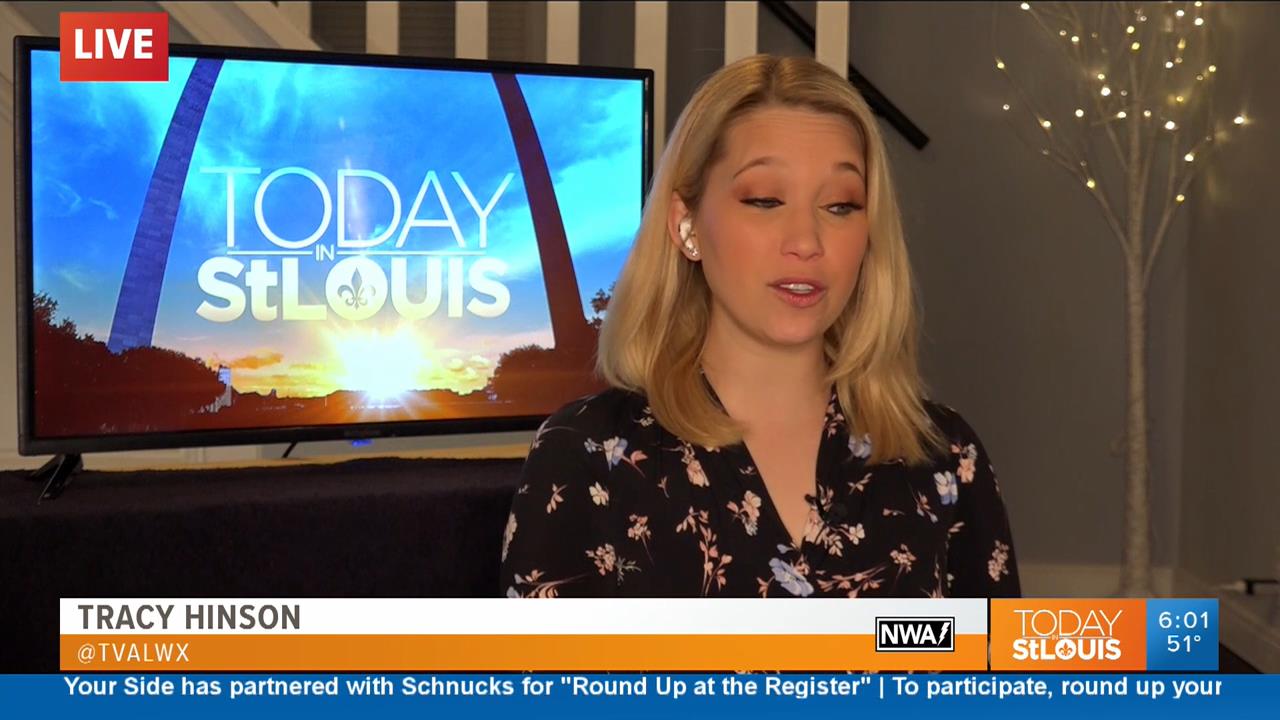 19 April - 12.00.00 - Today in St. Louis Weekend Edition. News.ts_snapshot_00.05.47_[2020.04.19_13.0