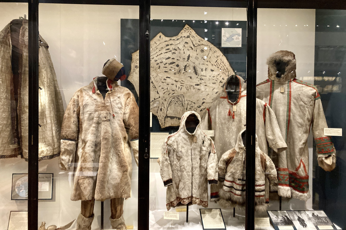 A59C3586-8375-4D6B-A9D3-BAD9C58D1003