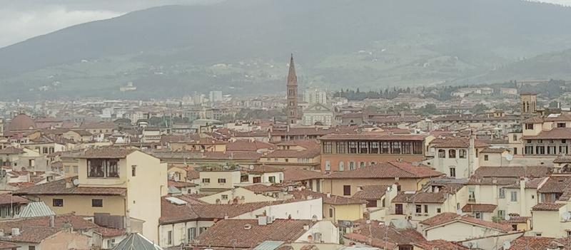 Florencia, Bolonia y Forli: Palacio Pitti, Biblioteca Laurenziana, el David etc - Roma (Hokusai), Florencia, Bolonia y Forli (107)