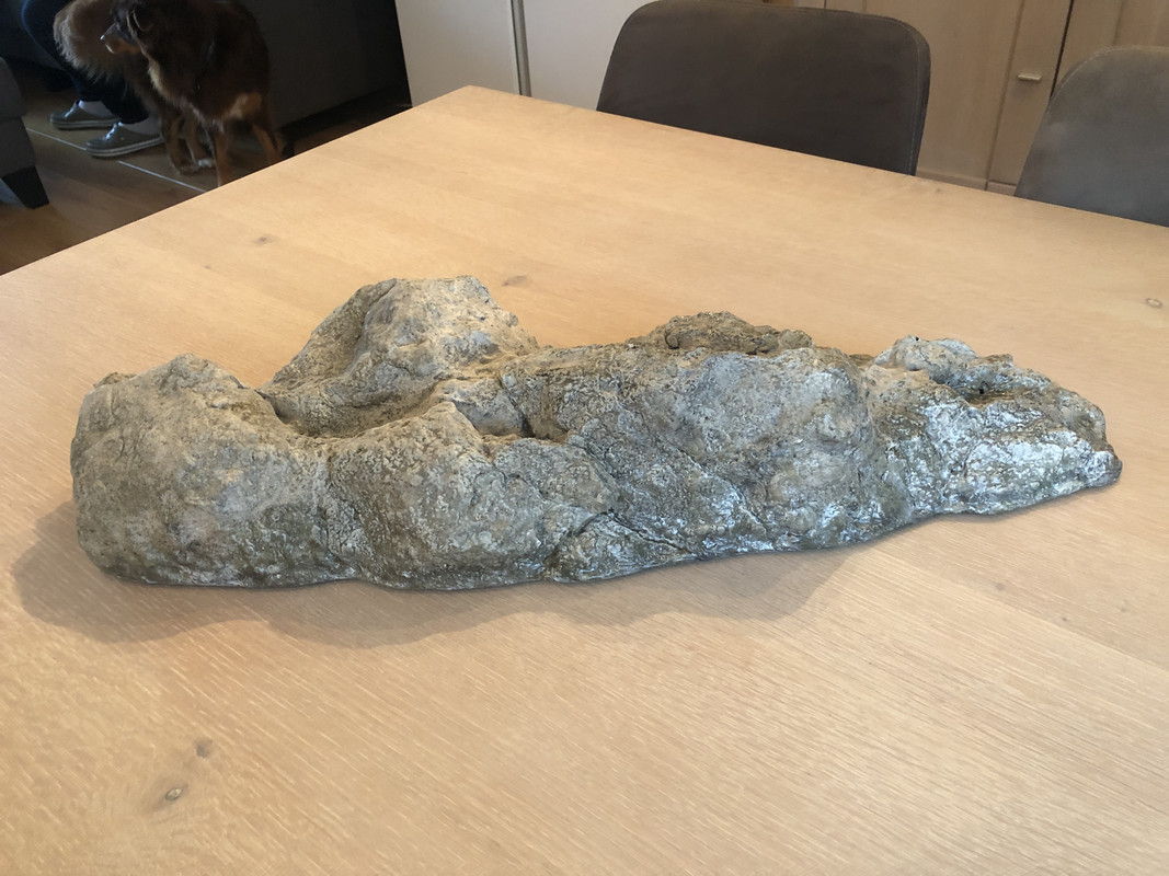 056277FD-D6F6-4325-A1A3-25C30AA80216