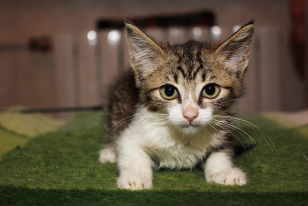 IMG-94fd921908ff5a5eb46061dd5253b1ce-V