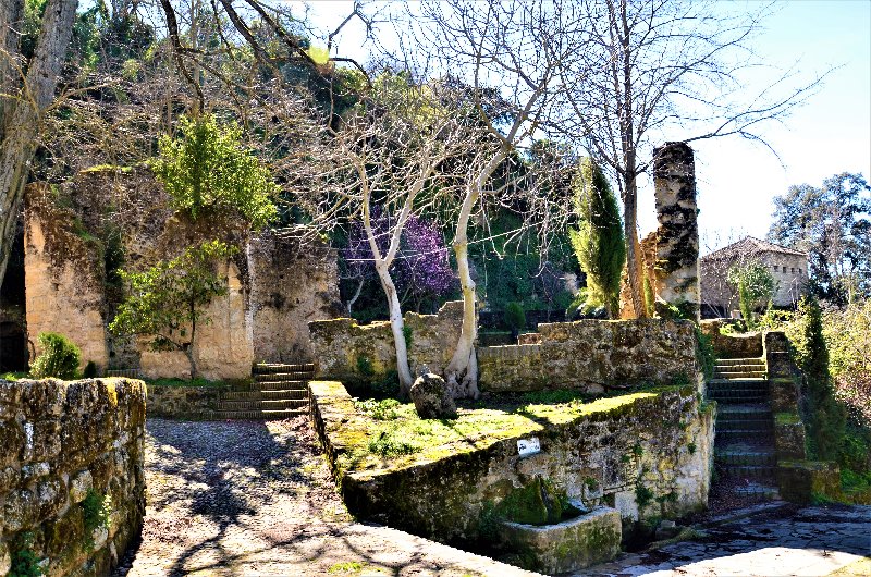 ALCALA DEL VALLE-7-3-2017-CADIZ - Cádiz y sus pueblos-2017 (39)