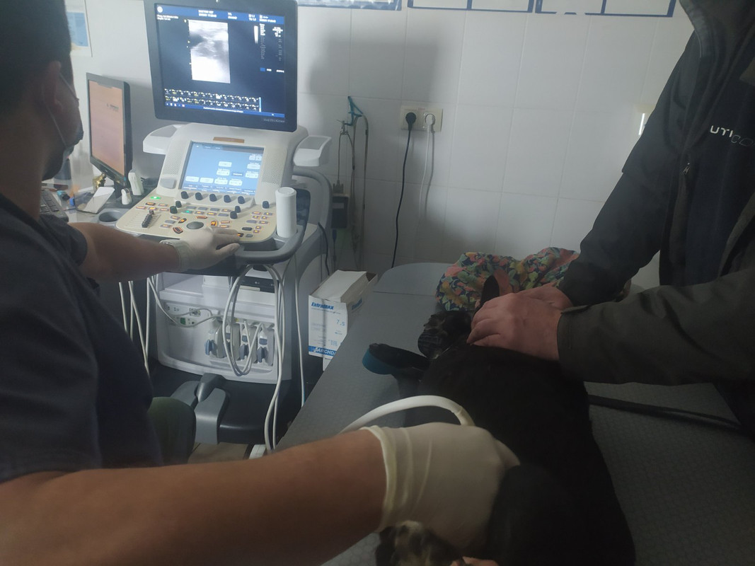 изображение_viber_2021-09-29_01-02-01-624