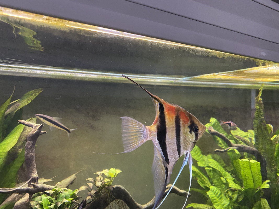 CCC87346-17F1-4601-ACC1-D3997147A713