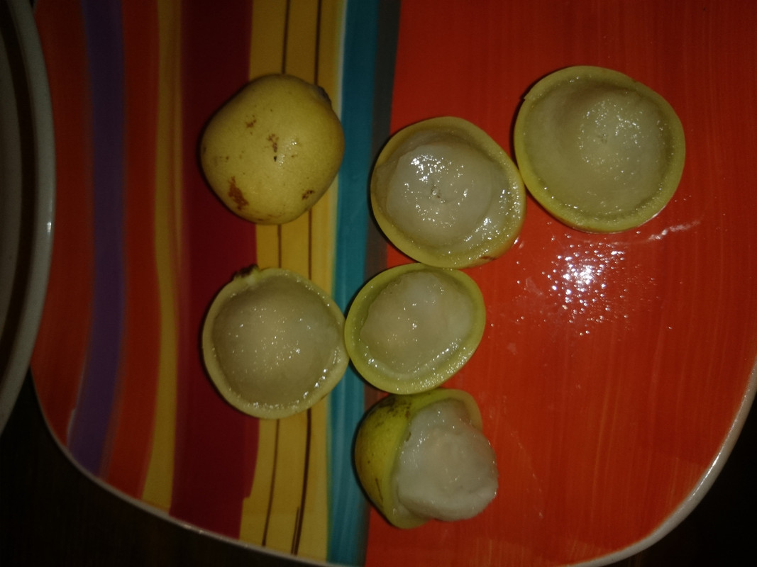 Marula fruit roadside vendor  (2)