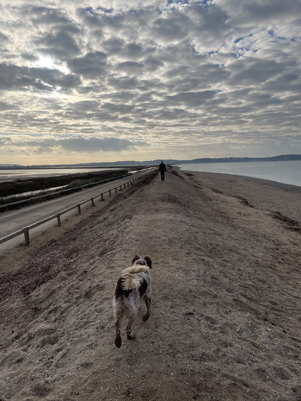 AE0F4A8E-DAD4-4D4A-AC6B-1C92D9BE733B