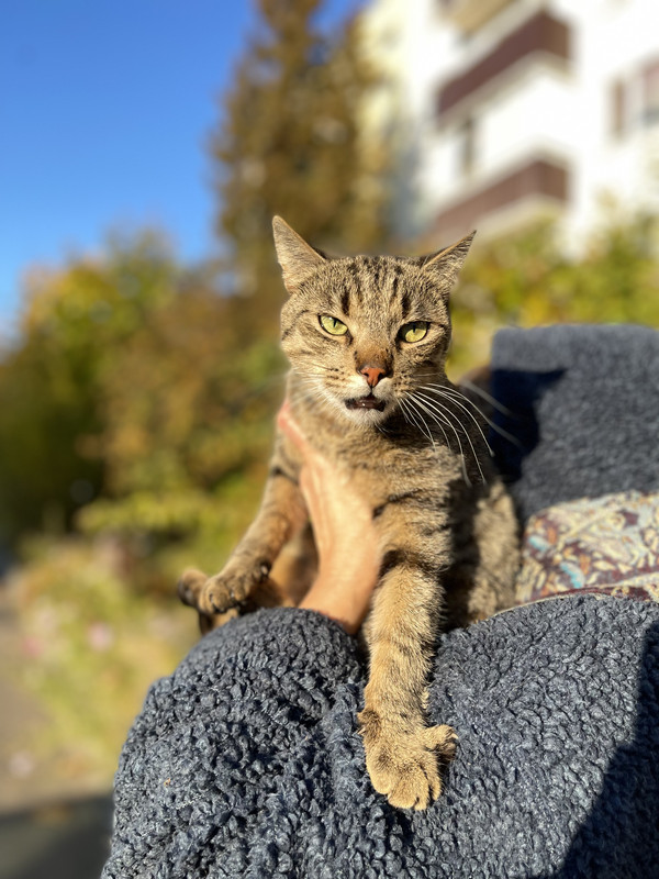 6A3BD116-3BD8-457B-AD93-26ED6E453564