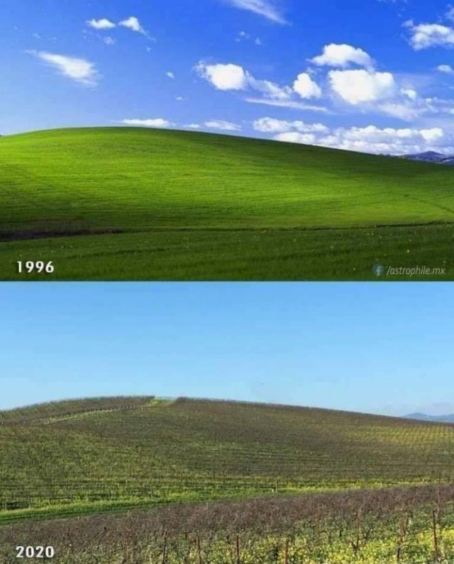 Amazing-33