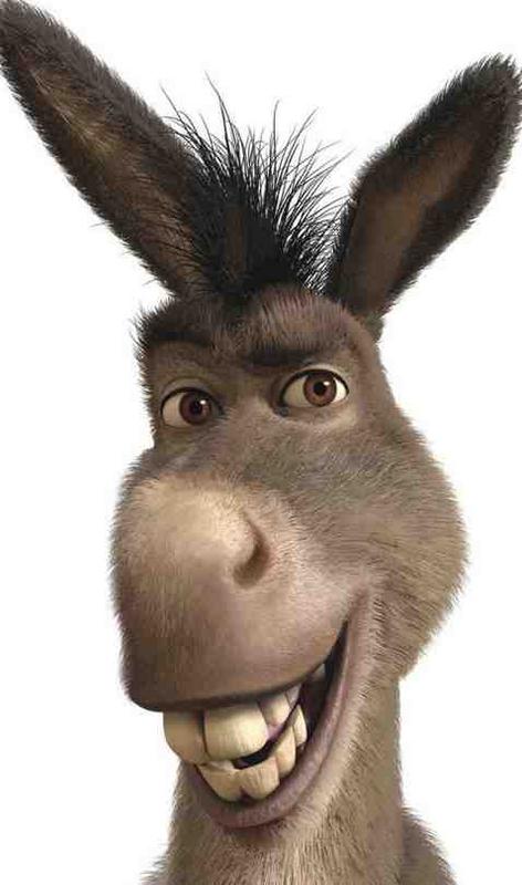 donkey-shrek-7664-2560x1600 2