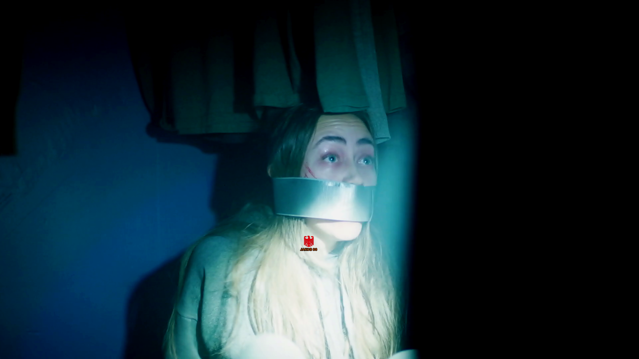 Sophia Carriere 18 Girl in The Attic 2025